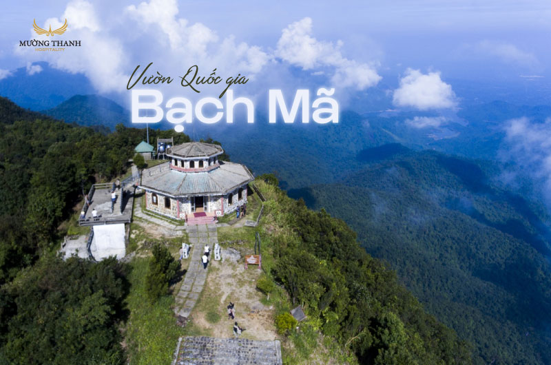 images/news/2025/04/original/vuon-quoc-gia-bach-ma_1744704270.jpg