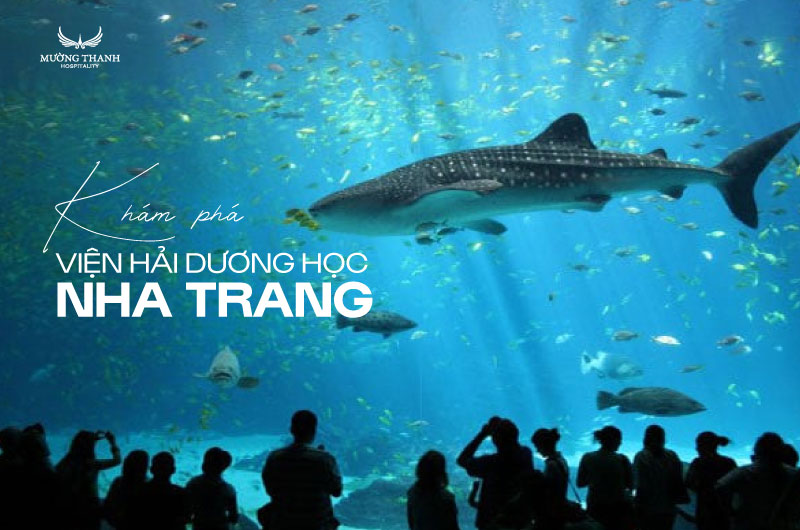 vien-hai-duong-hoc-nha-trang